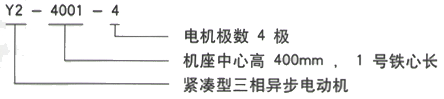 YR系列(H355-1000)高壓三相異步電機(jī)西安西瑪電機(jī)型號(hào)說明 YR系列(H355-1000)高壓三相異步電機(jī)西安西瑪電機(jī)型號(hào)說明