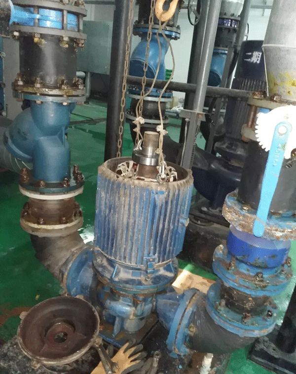 電機如何適應(yīng)變頻起動新技術(shù)——西安泰富西瑪電機（西安西瑪電機集團(tuán)股份有限公司）官方網(wǎng)站