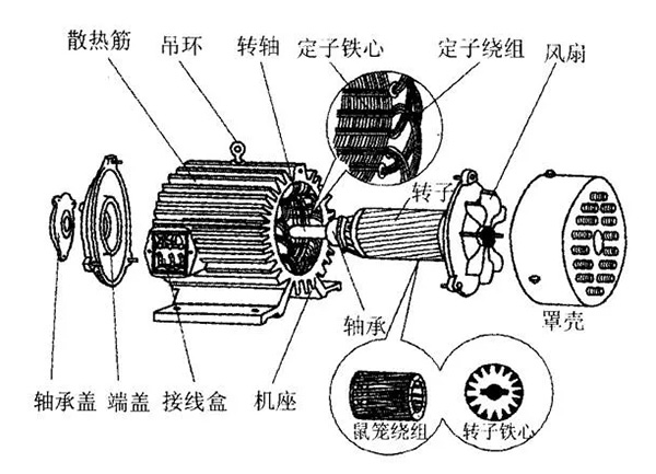 三相異步電動機的六種分類方法及具體分類。 三相異步電動機的六種分類方法及具體分類。
